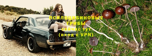 марки lsd Алзамай